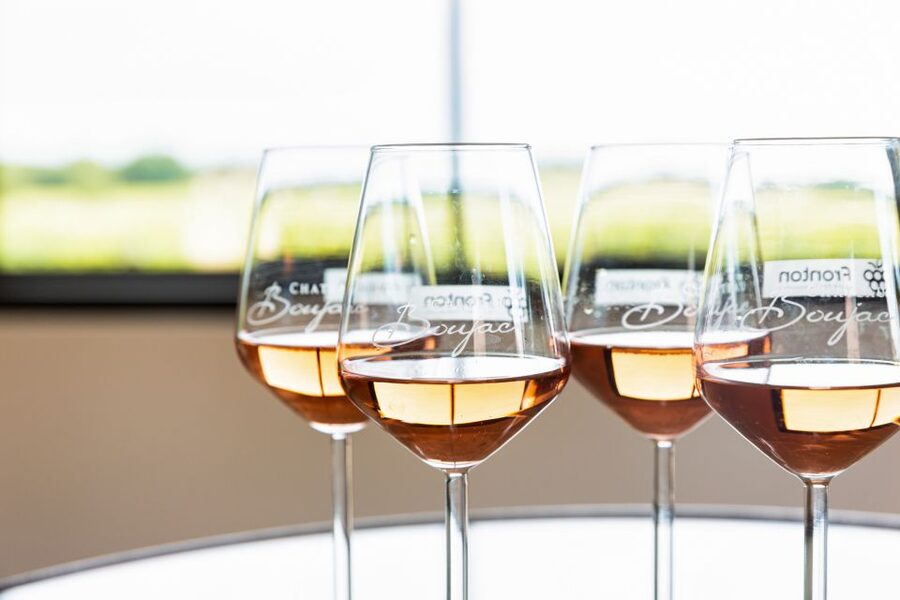 At the gates of Toulouse : Gourmet Tour - Walk and Tastings - Back at Château Boujac: the cellar visit and winemaking methods