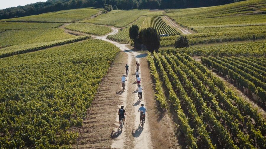 Au départ de REIMS : Ebike tour with a local guide ! - Winery time: cellar tour plus multiple tastings in Champagne-country style