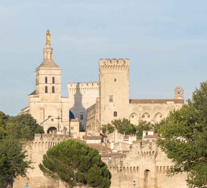 Avignon: City Walking Tour with Popes Palace Entry - The Rhône-side wine toast: Côtes du Rhône near the palace