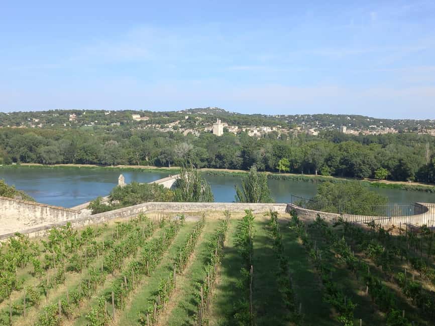 Avignon: City Walking Tour with Popes Palace Entry - Who this Avignon tour suits best (and who should skip it)