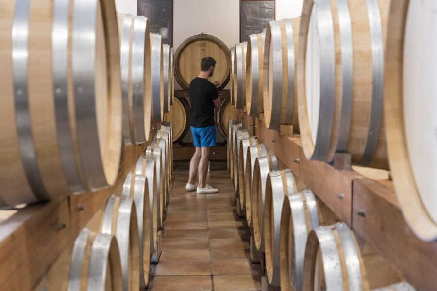 Avignon: Full-Day Châteauneuf du Pape Wines & Luberon Tour - Pont Julien: the Roman bridge stop that feels quick but lands