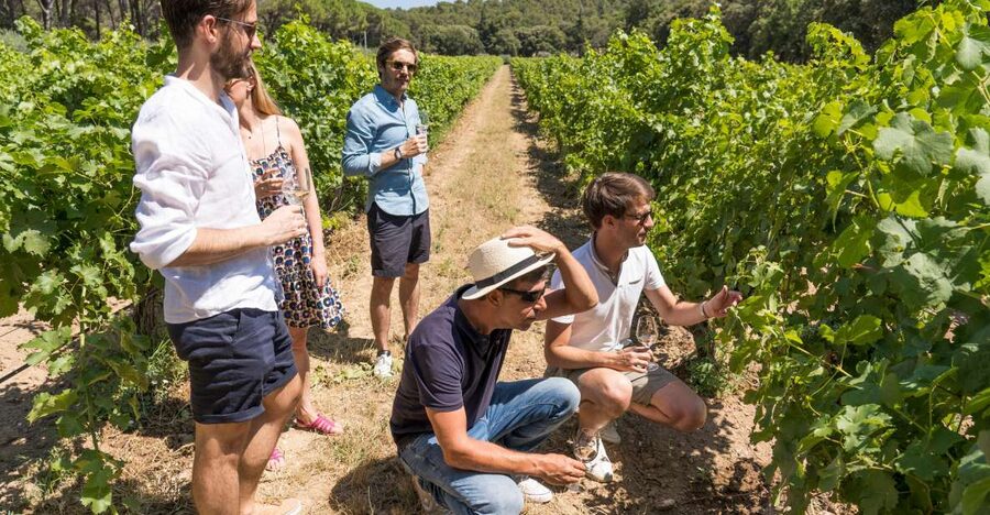 Avignon: Full-Day Châteauneuf du Pape Wines & Luberon Tour - Roussillon’s ochre cliffs: how to use your free hour