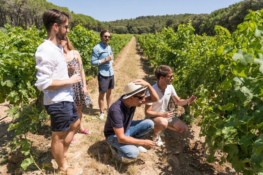 Avignon: Full-Day Châteauneuf du Pape Wines & Luberon Tour - Gordes: dry-stone village charm with time to wander
