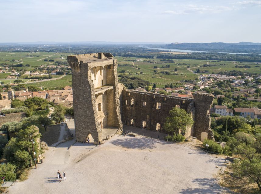 Avignon: Full-Day Châteauneuf du Pape Wines & Luberon Tour - Price and logistics: is $199 worth it for a 10-hour day?