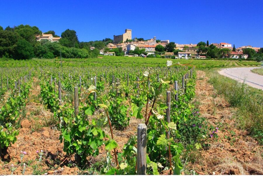 Avignon: Full-Day Wine Tour around Châteauneuf-du-Pape - Why Châteauneuf-du-Pape Works So Well as a Full-Day Trip