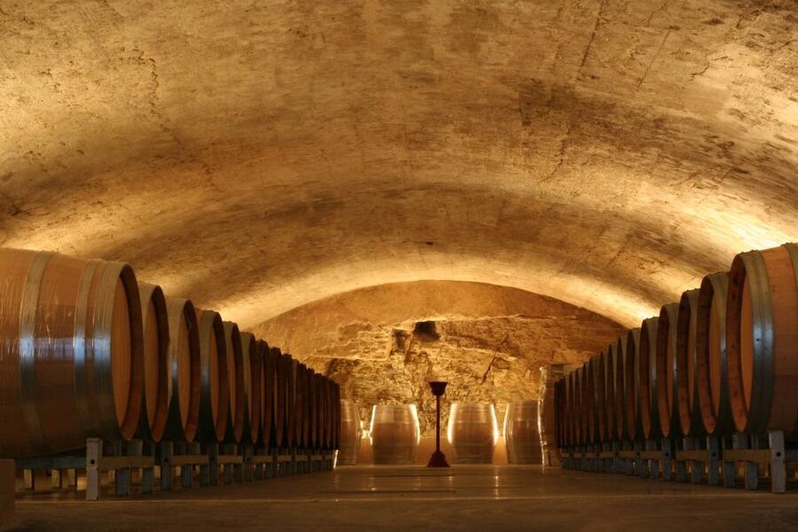 Avignon: Full-Day Wine Tour around Châteauneuf-du-Pape - What the Grapes and Region Explain Once You’re Inside