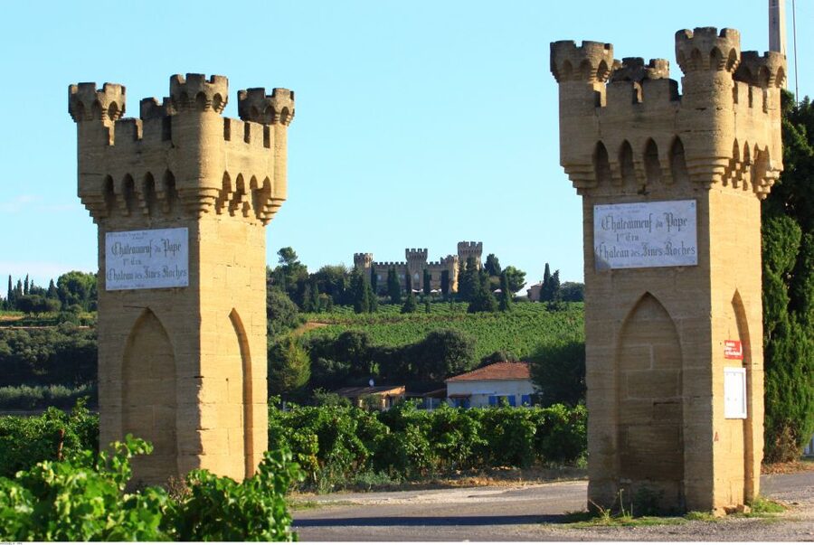 Avignon: Full-Day Wine Tour around Châteauneuf-du-Pape - Appellations You’ll Likely Hit, and How to Read the 3 or 4-Winery Plan