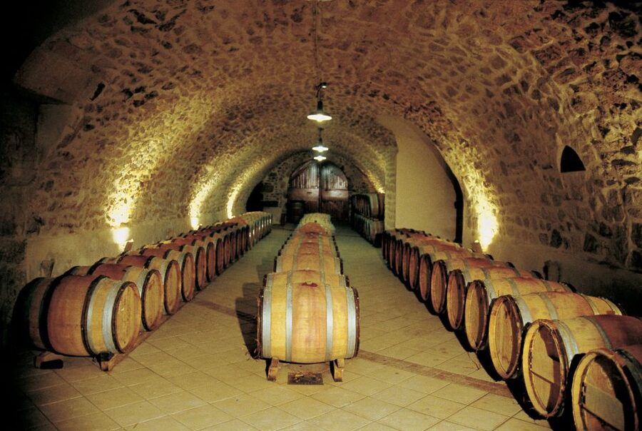 Avignon: Full-Day Wine Tour around Châteauneuf-du-Pape - Who This Tour Suits, and Who Should Skip It