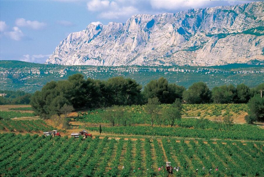 Avignon: Full-Day Wine Tour around Châteauneuf-du-Pape - From Avignon to the Rhône Hills: How the 9 Hours Feel