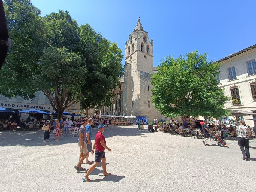 Avignon : Half-Day Walking Tour with Private Guide - Key things you will notice right away