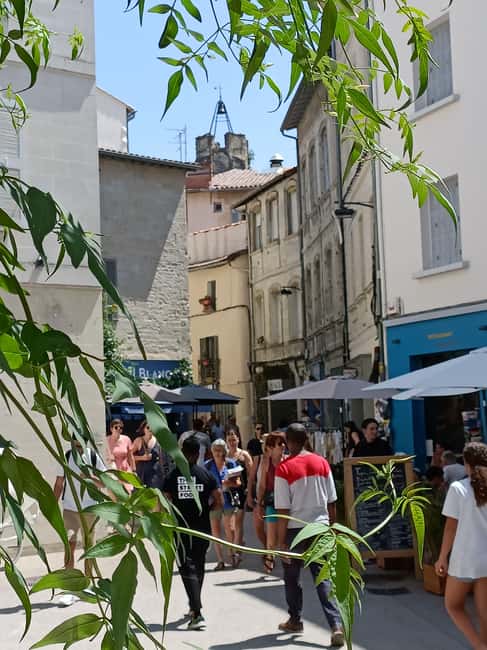 Avignon : Half-Day Walking Tour with Private Guide - Pacing and expectations: how the 3 hours feels on your feet
