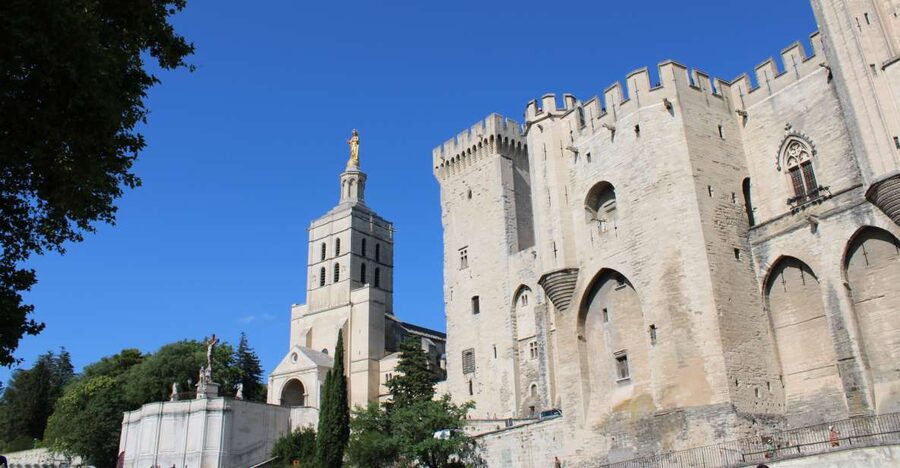 Avignon: Historic District Guided Food & Wine Walking Tour - Rue Carnot tastings: the warm-up bite before the real sights