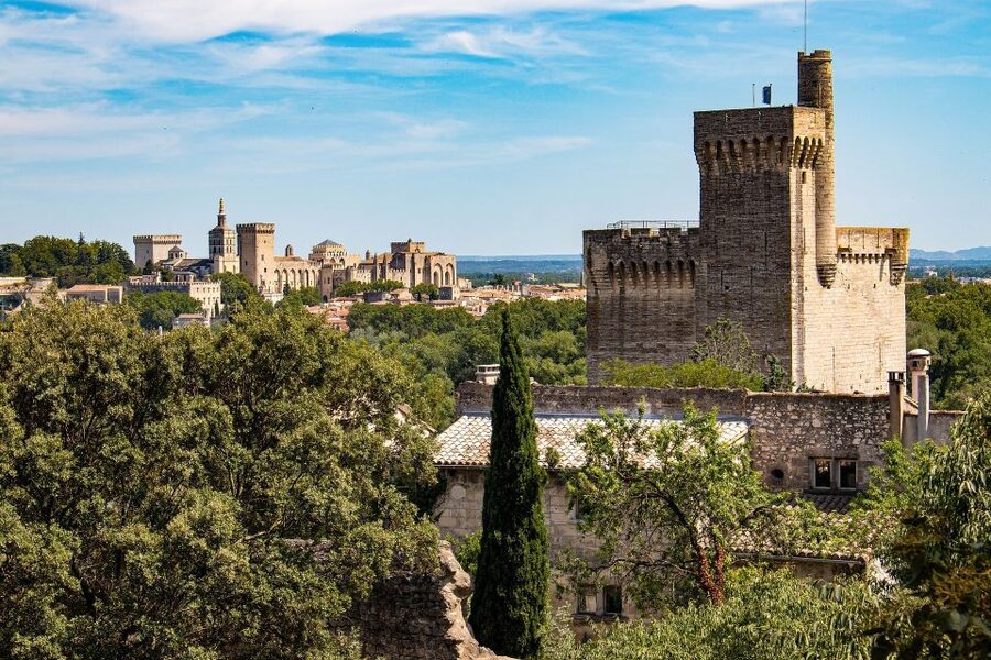 Avignon: Private Walking Tour – Discover History & Heritage - Key things that make this tour worth your time