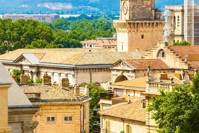 Avignon Walking Tour including Pope's Palace - Wine stop: one glass of Côtes du Rhône, served at the end