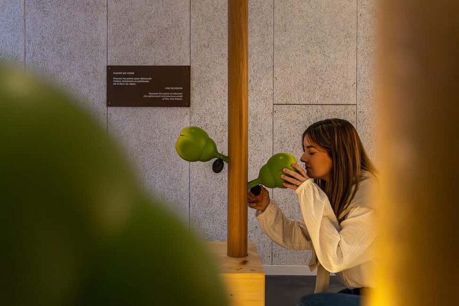 Aÿ-Champagne: Pressoria Champagne Museum with Tasting - The self-guided route: from soil to bottle without feeling rushed