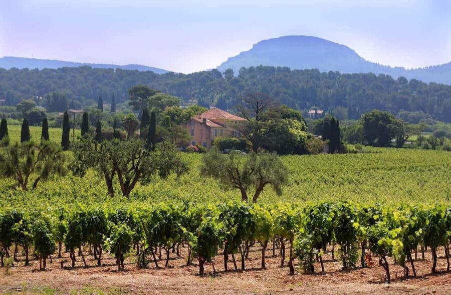 Bandol and Cassis: Full Day Wine Tour from Marseille - Key Highlights You Will Actually Feel