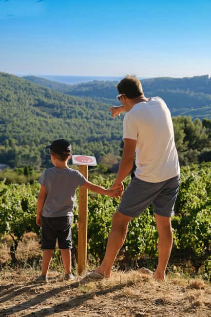 Bandol: Family Vineyard Tour and Tasting - Key highlights worth your time