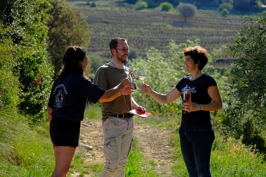 Bandol: Family Vineyard Tour and Tasting - Who should book this family vineyard tour