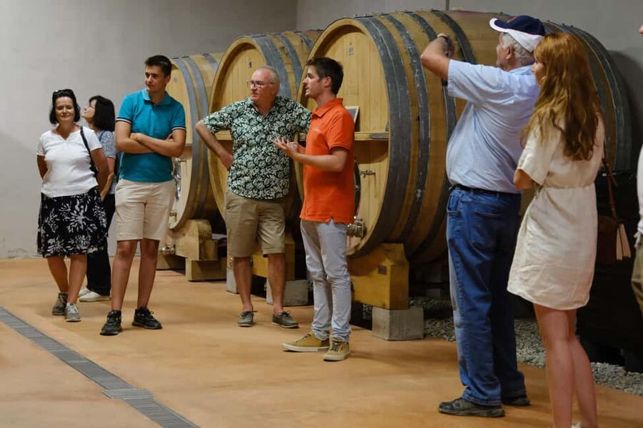 Bandol: Family Vineyard Tour and Tasting - Restanque vineyards and organic viticulture: the practical lesson you take home