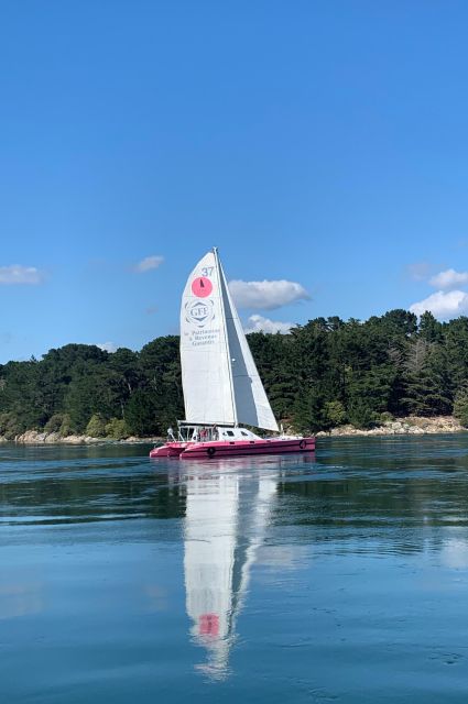 Bay of Quiberon or Morbihan gulf: Evening 2 hours navigation - A stable 18 meter catamaran made for easy cruising