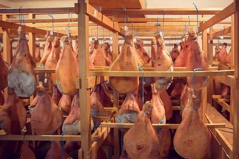 Bayonne: Guided Tour of the Ham Workshop, Tasting - Starting in the Last Salting and Drying Room Still in Operation