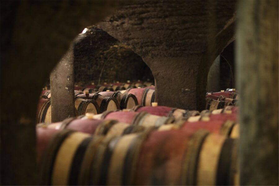Beaune: Maison Champy Guided Cellar Tour with Wine Tasting - What you learn about Burgundy’s vineyard specifics
