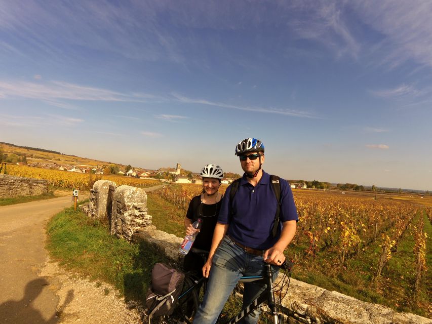 Beaune: Winery Tour by Bike with Wine Tasting - Key moments that make this tour worth your time