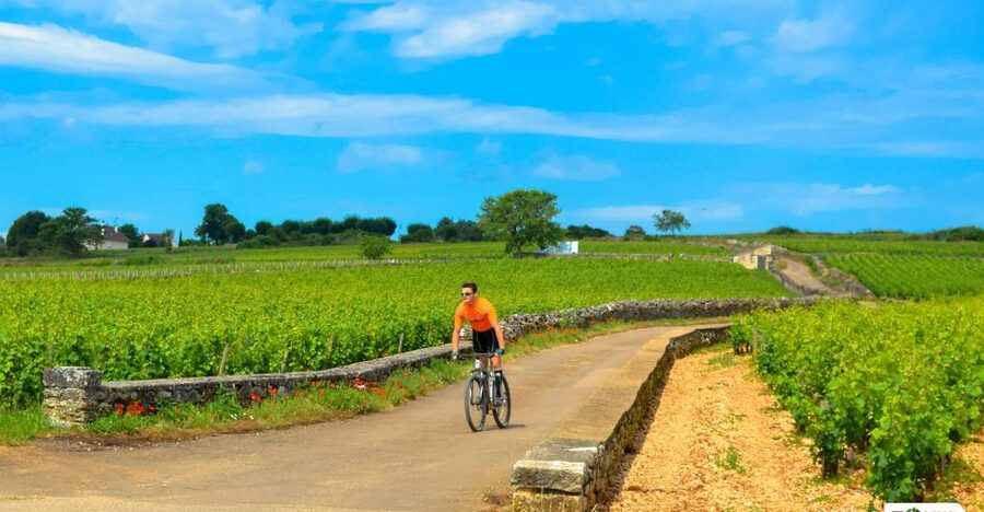 Beaune: Winery Tour by Bike with Wine Tasting - Why a bike tour in Beaune beats a standard tasting