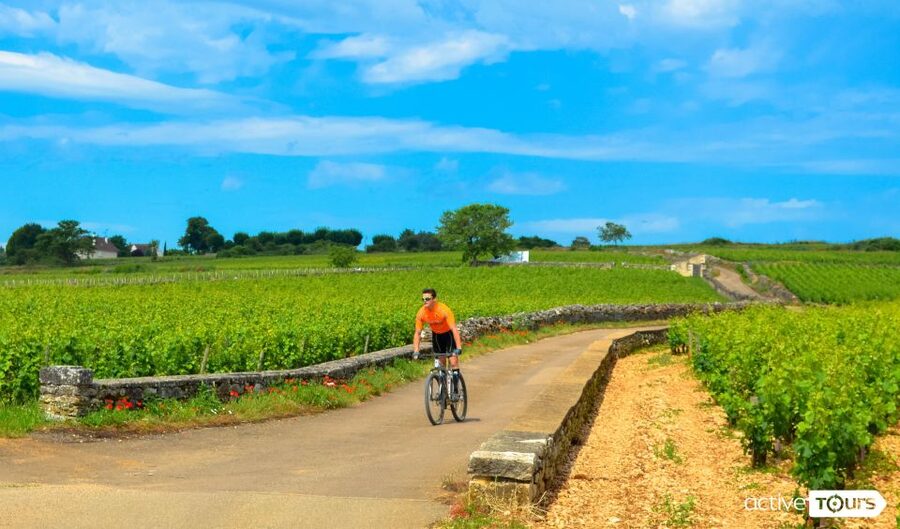 Beaune: Winery Tour by Bike with Wine Tasting - The ride through Pommard and Volnay vineyards