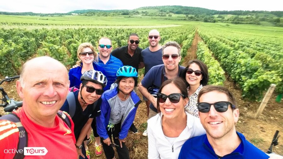 Beaune: Winery Tour by Bike with Wine Tasting - Who should book this tour (and who might want a different option)