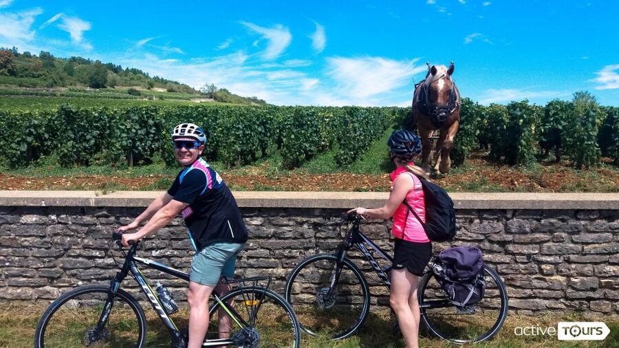 Beaune: Winery Tour by Bike with Wine Tasting - Getting started at the edge of Parc de la Bouzaize