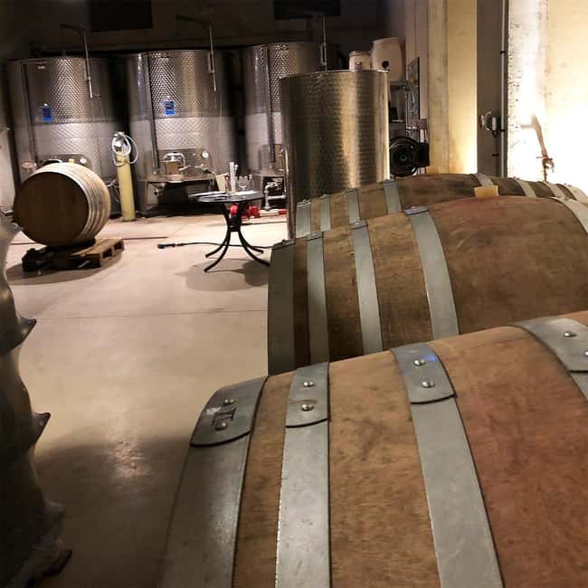 Béziers : Wine Tours & Wine tasting - From Béziers to the Vines: Timing That Keeps the Day Easy