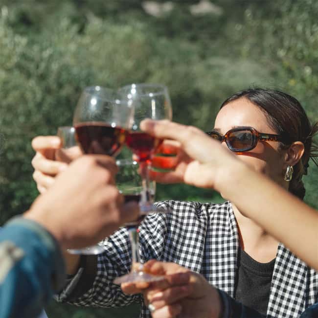 Béziers : Wine Tours & Wine tasting - Stop One in Faugères: Tour, Then Taste Like You Mean It