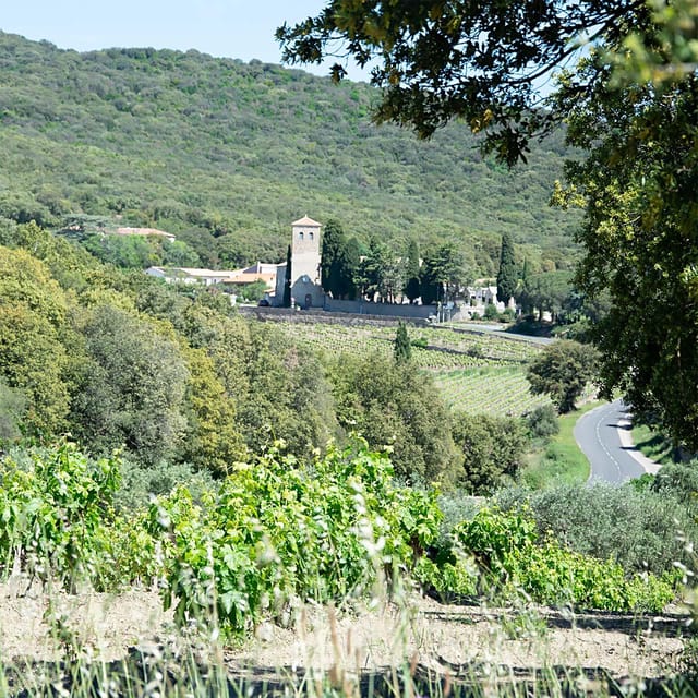 Béziers : Wine Tours & Wine tasting - Laurent Grout’s Role: The Guide Who Keeps It Moving