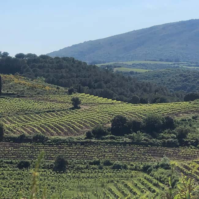 Béziers : Wine Tours & Wine tasting - What Wine Tasting Here Really Means for You