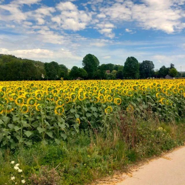Bike tour from Vernon to Giverny with local guide - Getting to Giverny Like a Local, Not Like GPS
