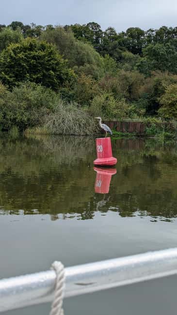 Boat ride on the Canal de la Rance - Key highlights at a glance
