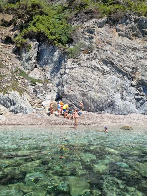 Boat trip around Porquerolles and Giens - Half-day vs full-day: pick based on your comfort level with water time