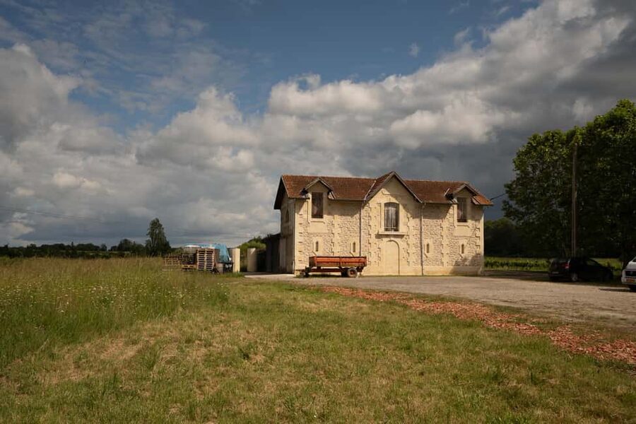 Bordeaux: Explore an Organic Family Vineyard with Tasting - Should You Book This Organic Bordeaux Vineyard Tasting?
