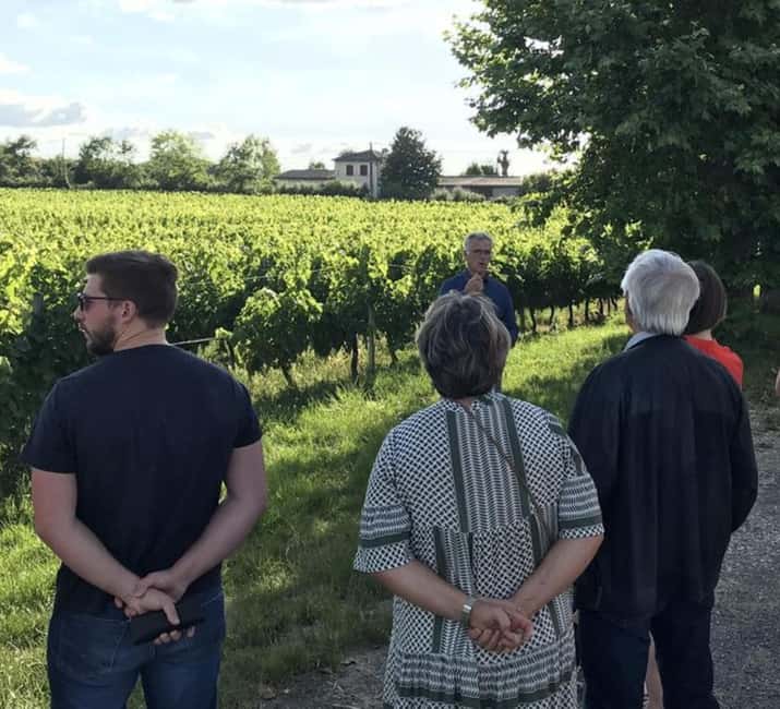 Bordeaux: Explore an Organic Family Vineyard with Tasting - The Outdoor Vineyard Walk: Organic Farming and Biodiversity
