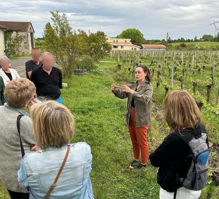 Bordeaux: Explore an Organic Family Vineyard with Tasting - In the Cellar: From Fermentation to Aging in Tanks and Barrels