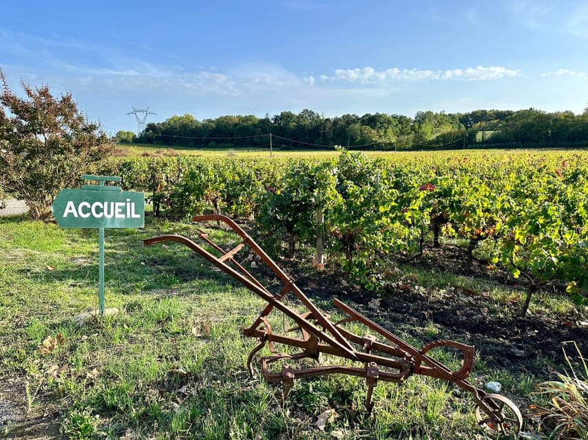 Bordeaux: Explore an Organic Family Vineyard with Tasting - Practical Tips So You Enjoy It From the First Minute