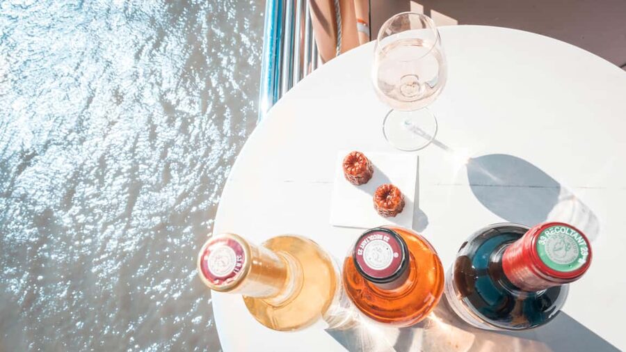 Bordeaux: Guided Wine and Canelé Discovery Cruise - Practical tips to make your 90 minutes feel longer