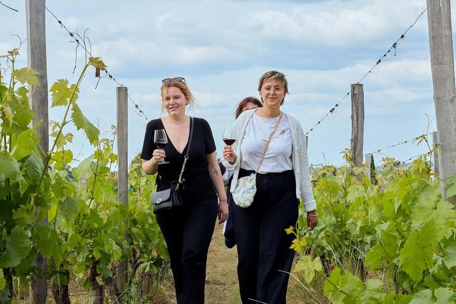 Bordeaux: Half-Day Margaux Tour with Wine Tastings - The chateaux you may visit, and why two different stops matter