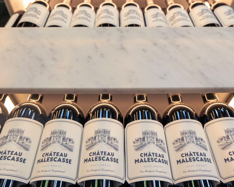 Bordeaux: Médoc & St-Emilion Wine 3 châteaux with lunch - Who should book this Médoc and Saint-Émilion wine day