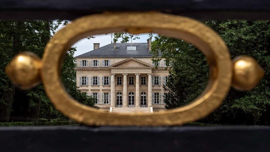 Bordeaux: Saint-Emilion and Medoc Full-Day Wine Experience - The Château Picnic Lunch: Local Food That Actually Belongs in Wine Country