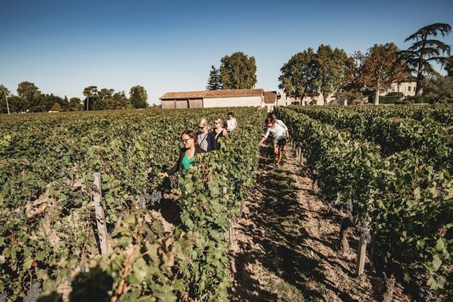 Bordeaux: St-Emilion and Medoc Wine Day Tour with Lunch - A One-Day Loop Through Bordeaux’s Two Big Wine Personalities
