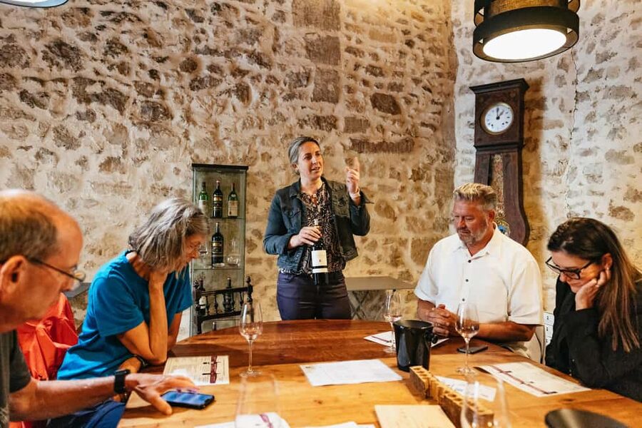 Bordeaux: St. Emilion Day Trip with Wine Tasting and Lunch - Château #1 visit and tasting: what to pay attention to