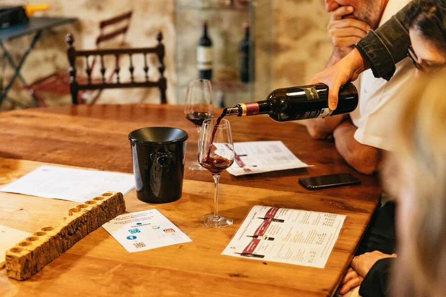 Bordeaux: St. Emilion Day Trip with Wine Tasting and Lunch - Timing, logistics, and how to make it feel relaxed