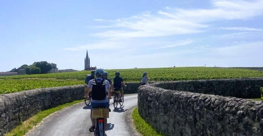 Bordeaux: St-Emilion Vineyards e-Bike Tour with Wine & Lunch - Key Highlights That Make This Saint-Émilion Day Trip Worth It